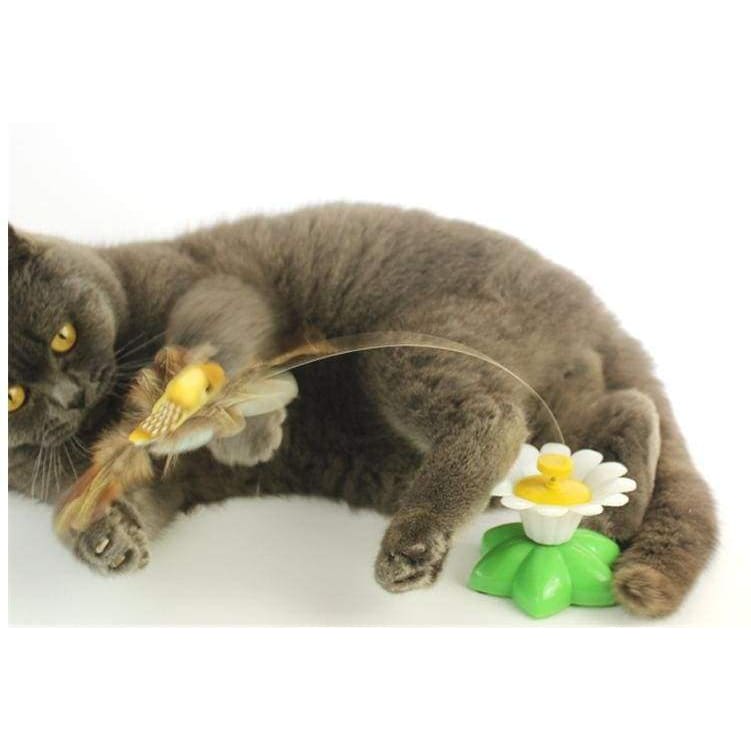 Electric rotating cat toy - cat toys
