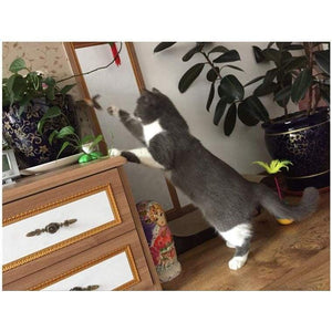 Electric rotating cat toy - cat toys