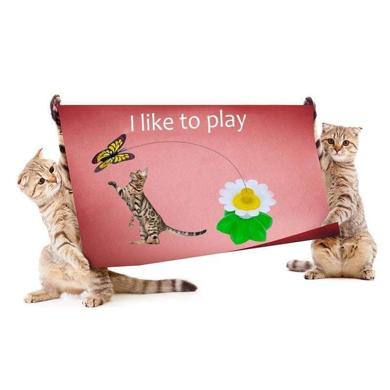 Electric rotating cat toy - cat toys