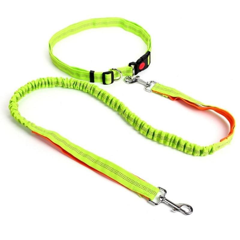 Hands-free retractable leash - go / m - pet accessories