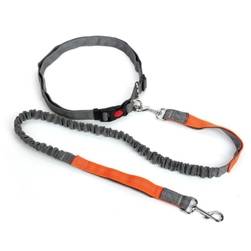 Hands-free retractable leash - ho / m - pet accessories