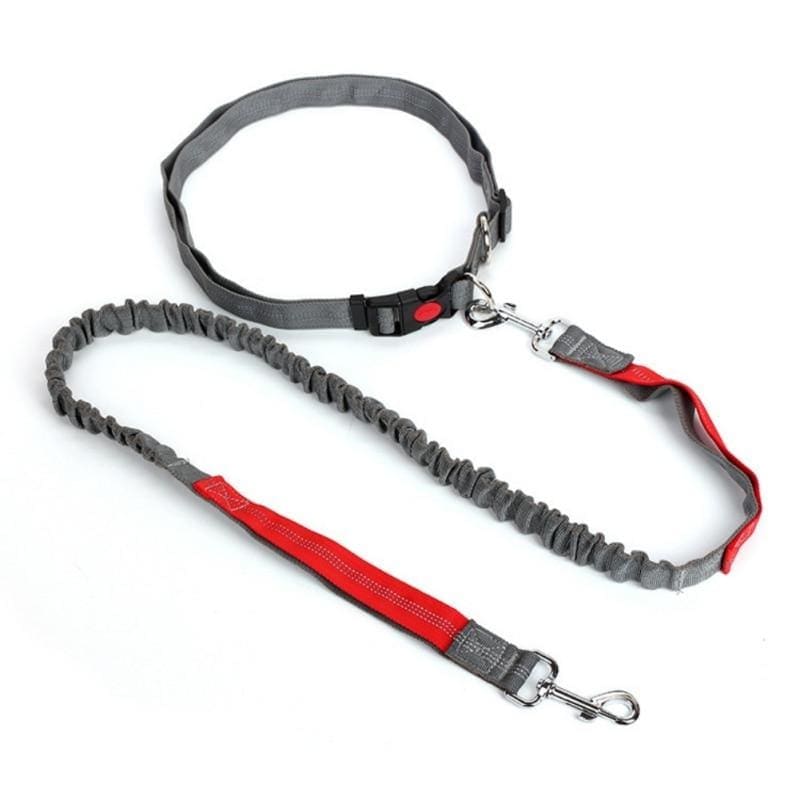 Hands-free retractable leash - hr / m - pet accessories