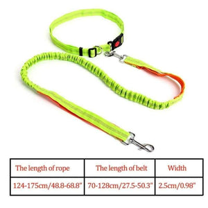 Hands-free retractable leash - pet accessories