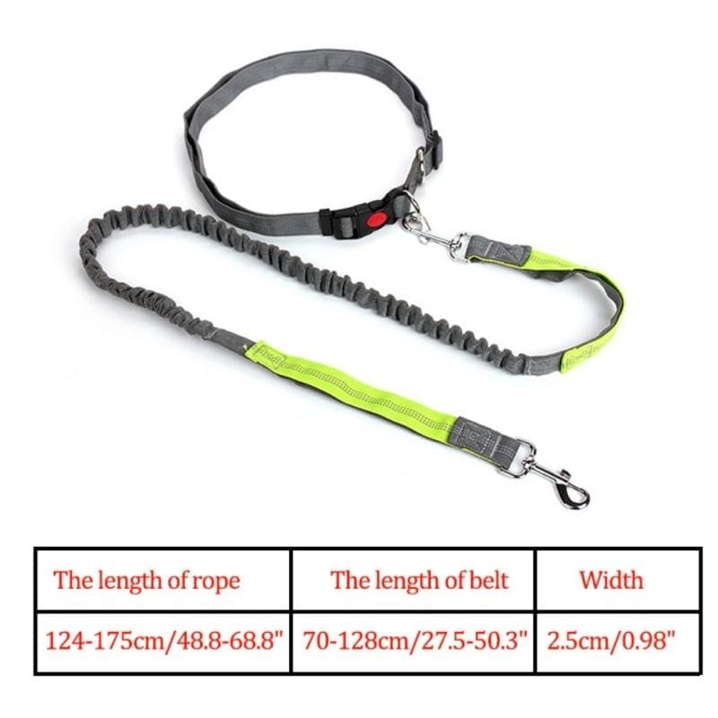 Hands-free retractable leash - pet accessories