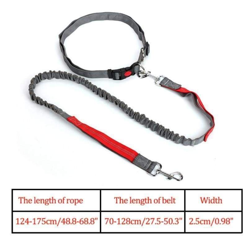 Hands-free retractable leash - pet accessories