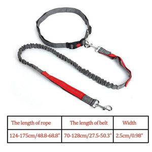 Hands-free retractable leash - pet accessories