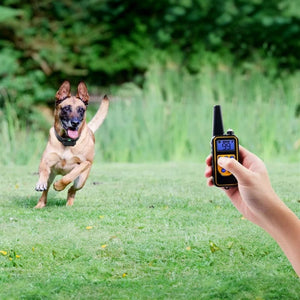 Rechargeable dog training collar with remote | waterproof 4