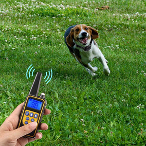 Rechargeable dog training collar with remote | waterproof 4