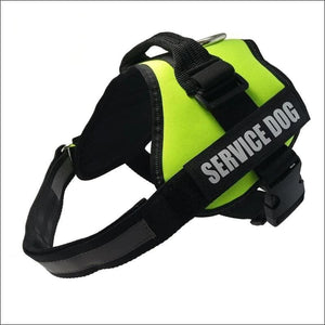 All-In-One No Pull Dog Harness - green / L - Harnesses