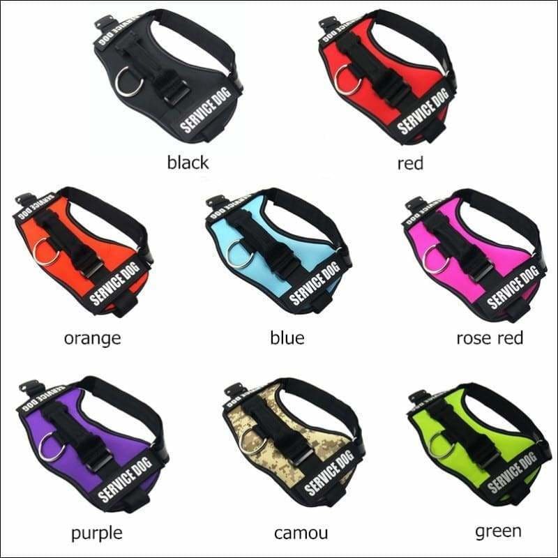 All-In-One No Pull Dog Harness - Harnesses