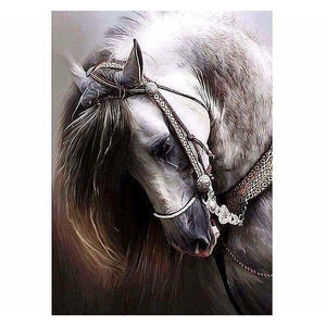 Amazing horse diamond painting - 30x45cm - cross stitch