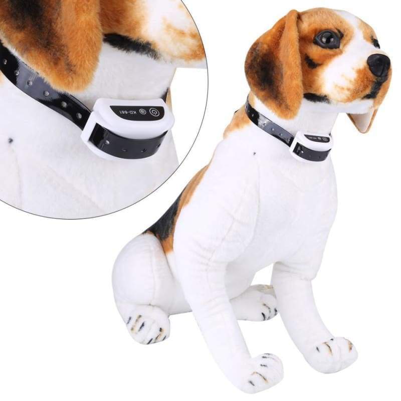 Dog collar with wireless fence - accessories 2