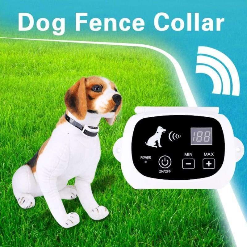 Dog Collar With Wireless Fence - Accessories 2