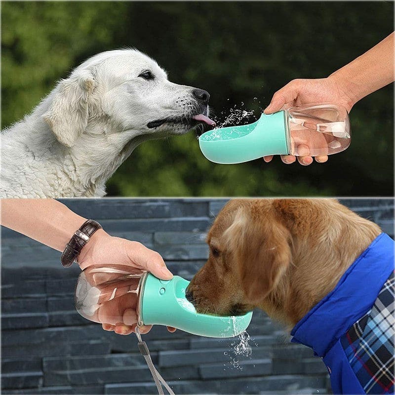 Dog drinking bowl - accessories 3