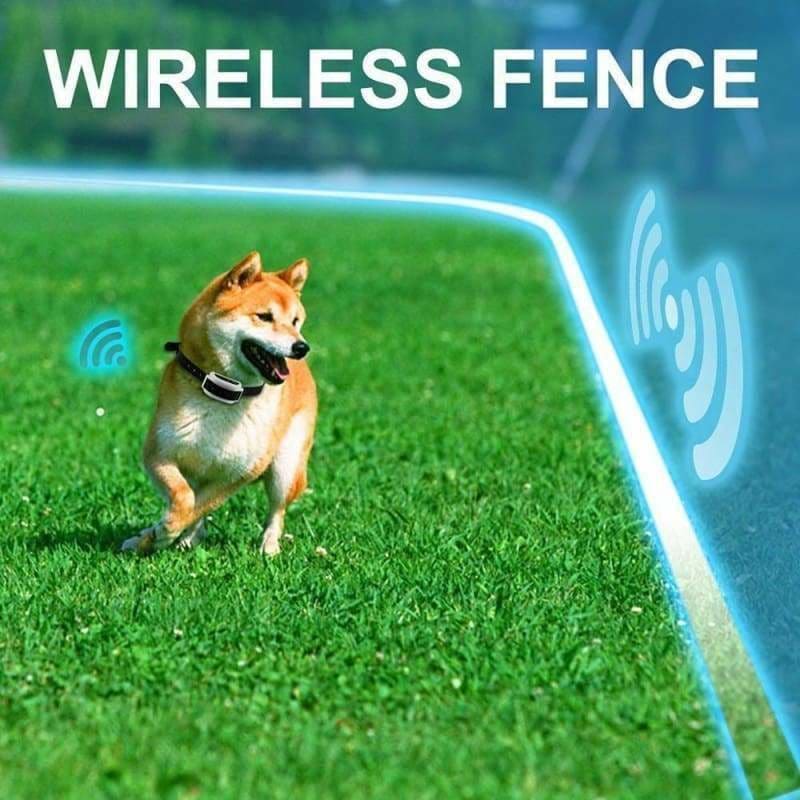 Dog Fence Invisible - Accessories