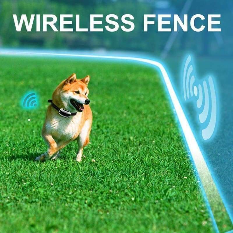 Dog Fence Invisible System - Accessories 2