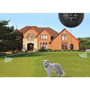 Dog Fence Just For You - US Plug - Accessories