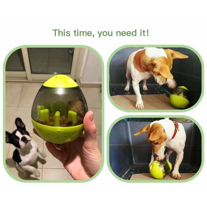 Dog food dispenser just for you - toys