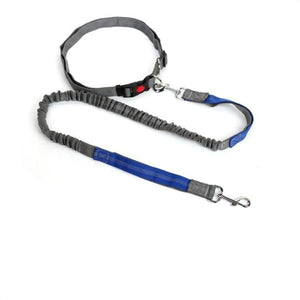 Hands-free retractable leash - hl / m - pet accessories