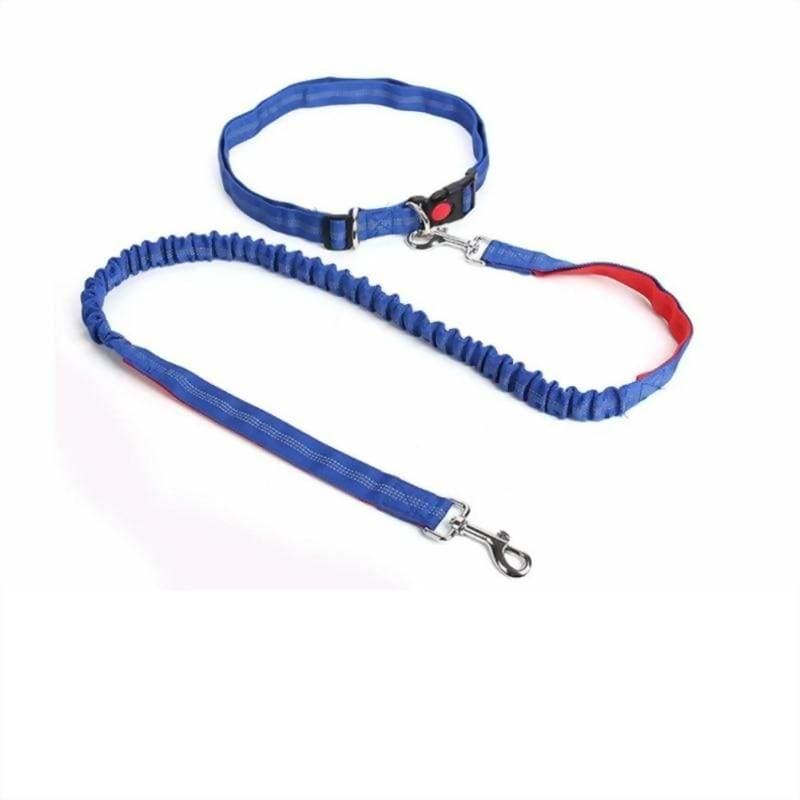 Hands-free retractable leash - lr / m - pet accessories