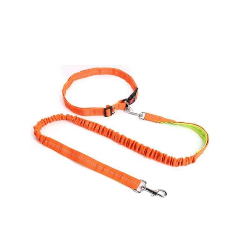 Hands-free retractable leash - og / m - pet accessories