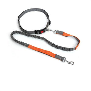 Hands-free retractable leash - pet accessories