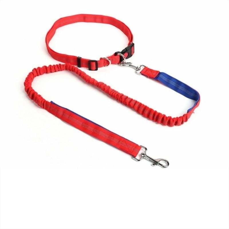 Hands-free retractable leash - pet accessories