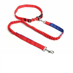 Hands-Free Retractable Leash - Pet Accessories