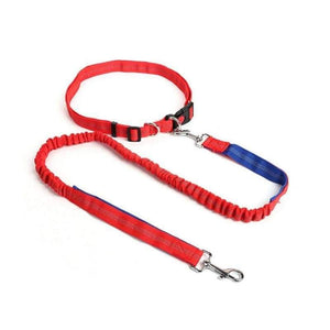 Hands-free retractable leash - rl / m - pet accessories