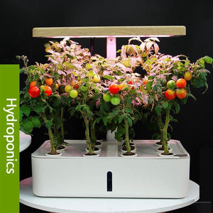 Hydroponics Planter - EU plug - Home garden