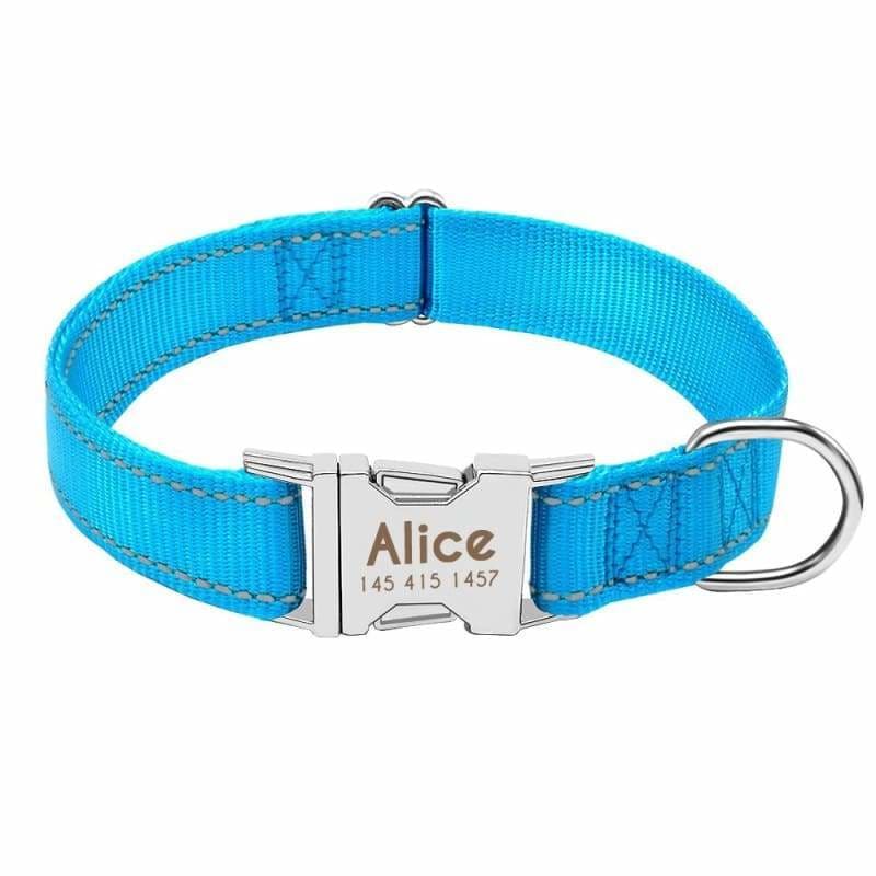Personalized Dog Collar Just For You - Blue / L