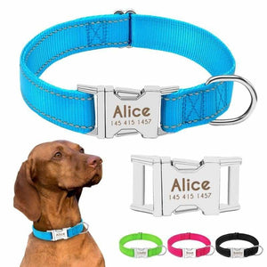 Personalized Dog Collar Just For You - Accessories