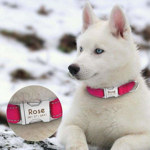 Personalized Dog Collar Just For You - Accessories