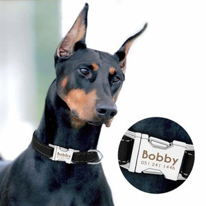 Personalized Dog Collar Just For You - Accessories