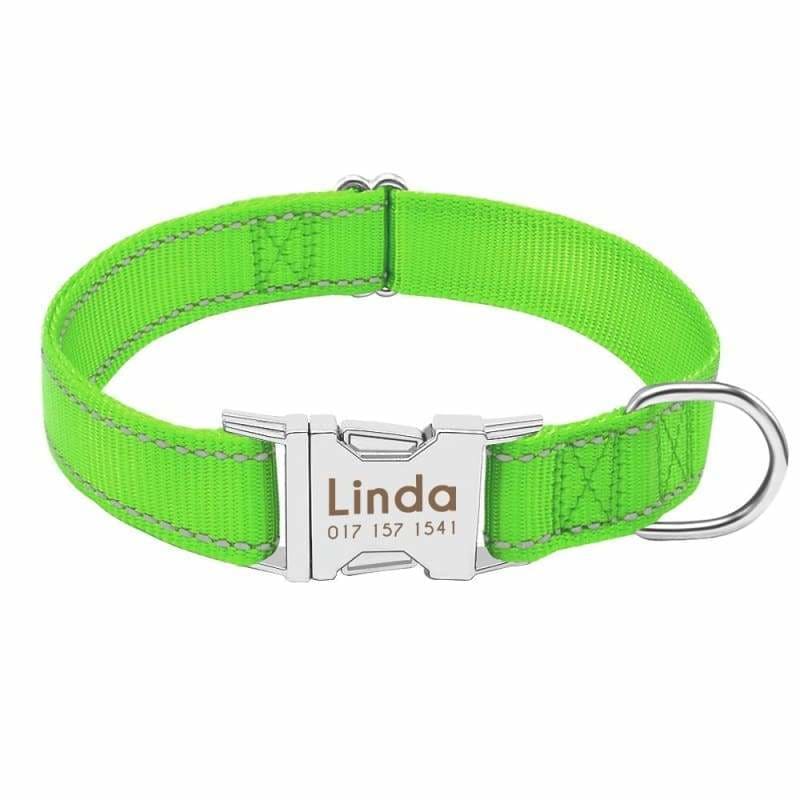 Personalized Dog Collar Just For You - Green / L