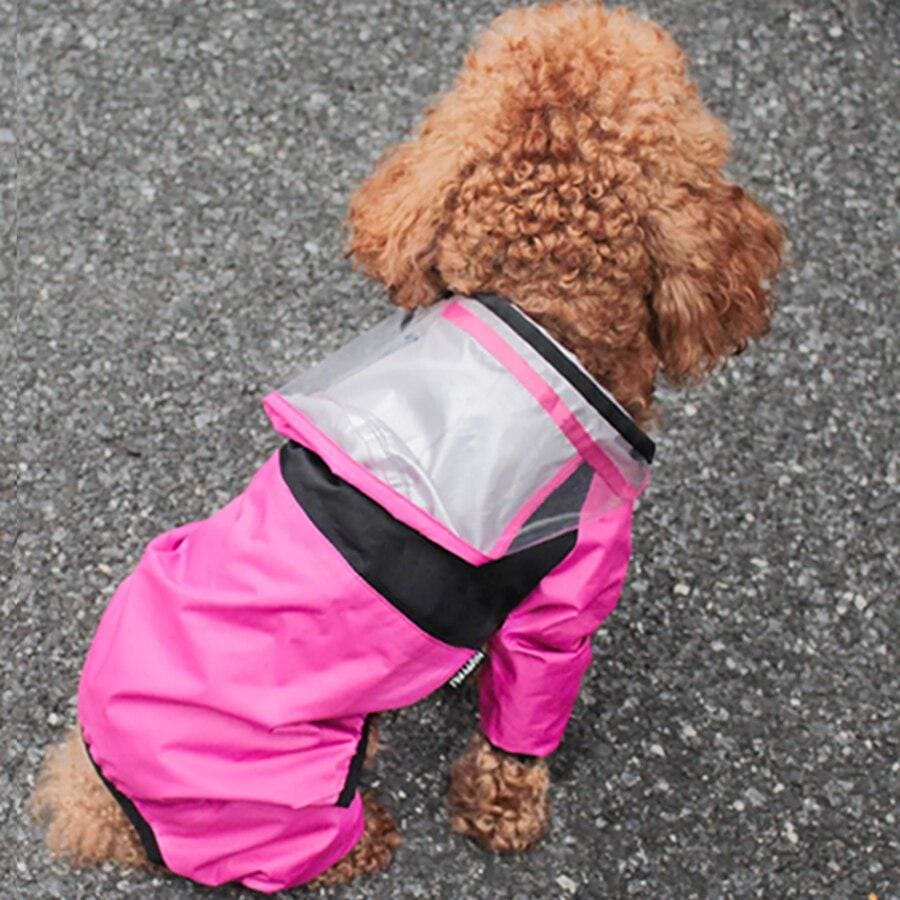 Pet Dog Raincoat - Pink / XS - Accessories 3