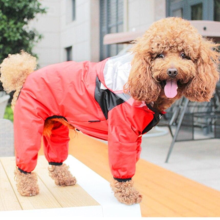 Pet Dog Raincoat - Red / XS - Accessories 3