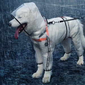Pet Raincoat - Dog Accessories 3