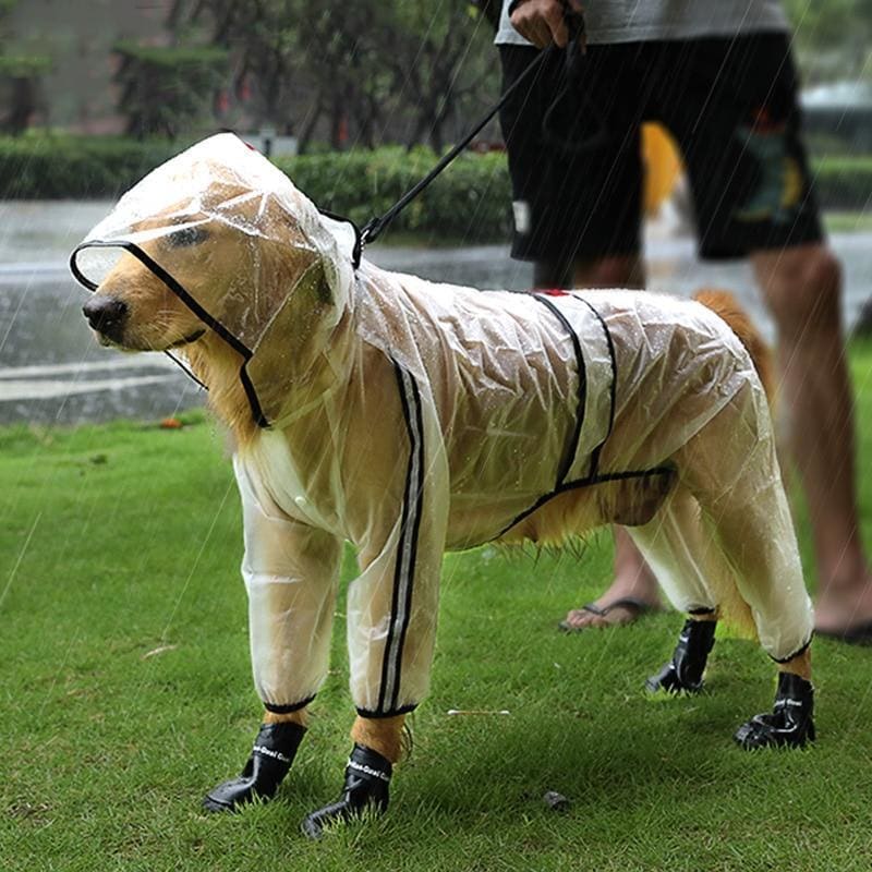 Pet Raincoat - Dog Accessories 3