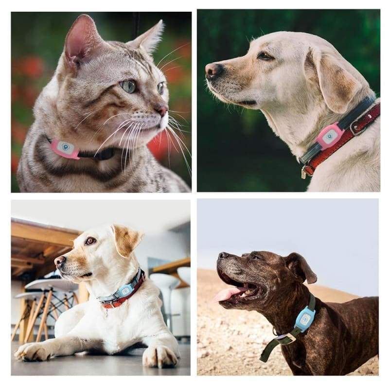Smart GPS Pet Collar Tracker - Dog Accessories