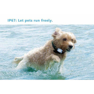 Smart GPS Pet Collar Tracker - Dog Accessories