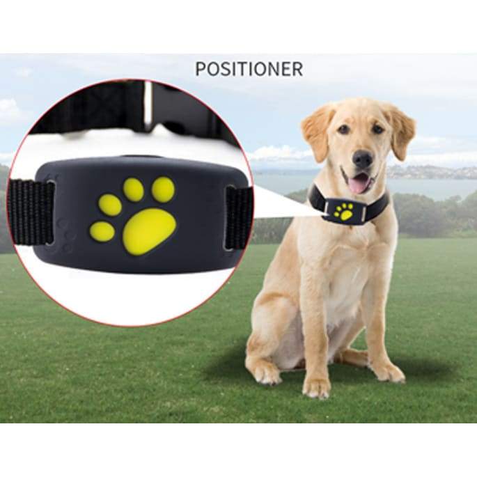 Smart GPS Pets Collar Tracker - Dog Accessories 3