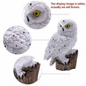 Solar Owl Garden Light - Lamps