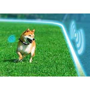 Wireless Dog Fence - Accessories 3